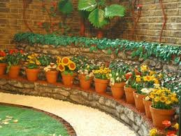 Garden Image