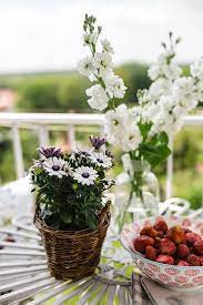 Balcony Image